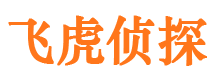 浮梁外遇调查取证